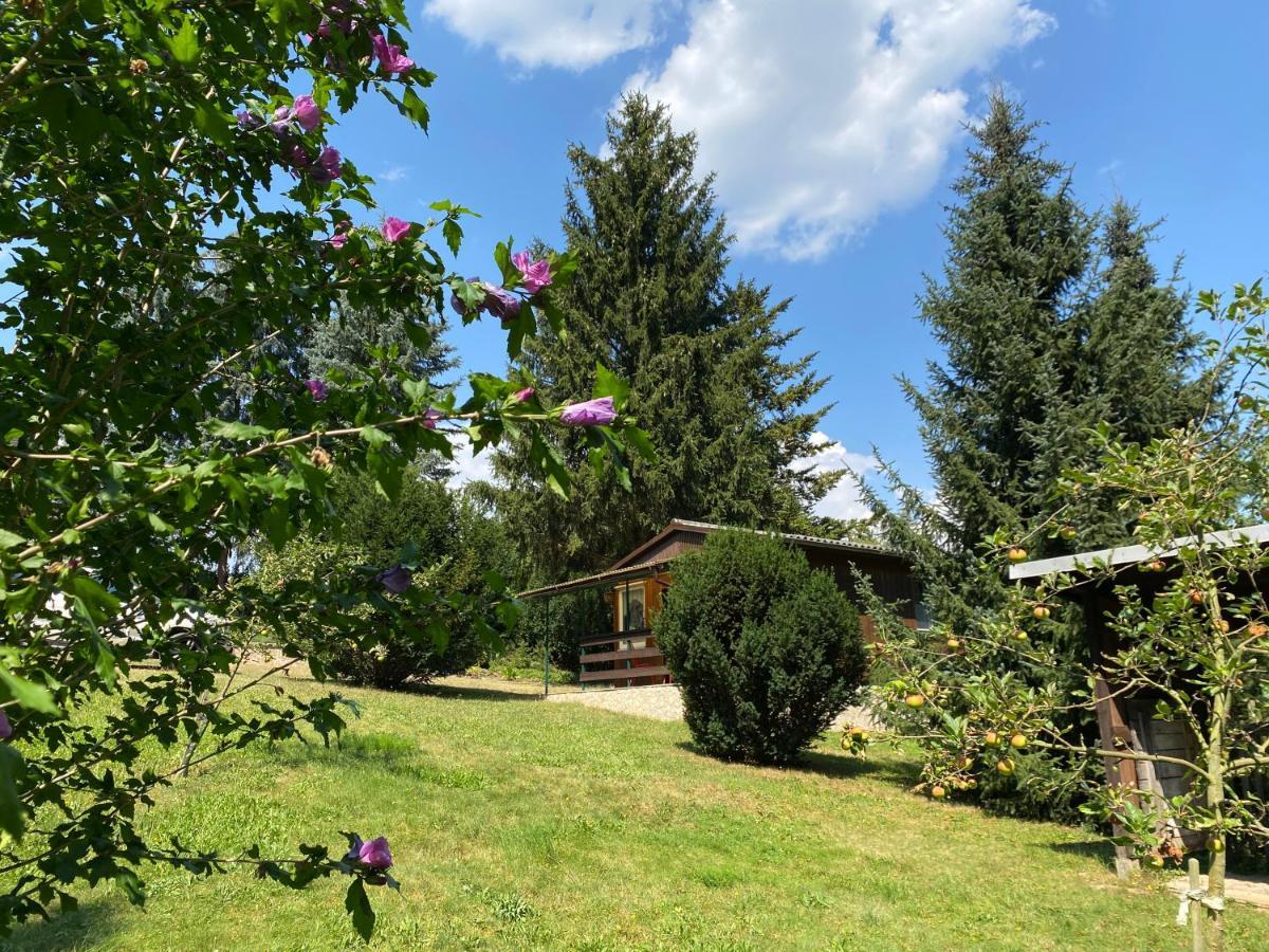 Waldfrieden Bungalow Garnsdorf Exterior foto